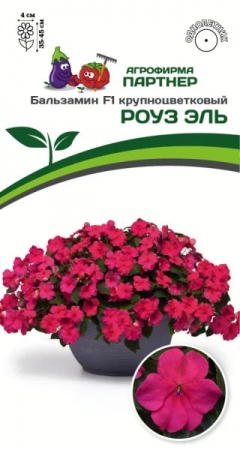 партнер бальзамин f1 крупноцветковый роуз эль